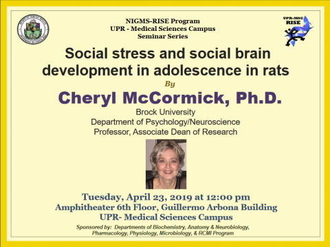 Seminar-Cheryl-McCormick-April-23-2019