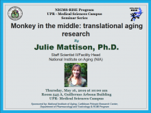 Seminar-Julie-Mattison-May-2019